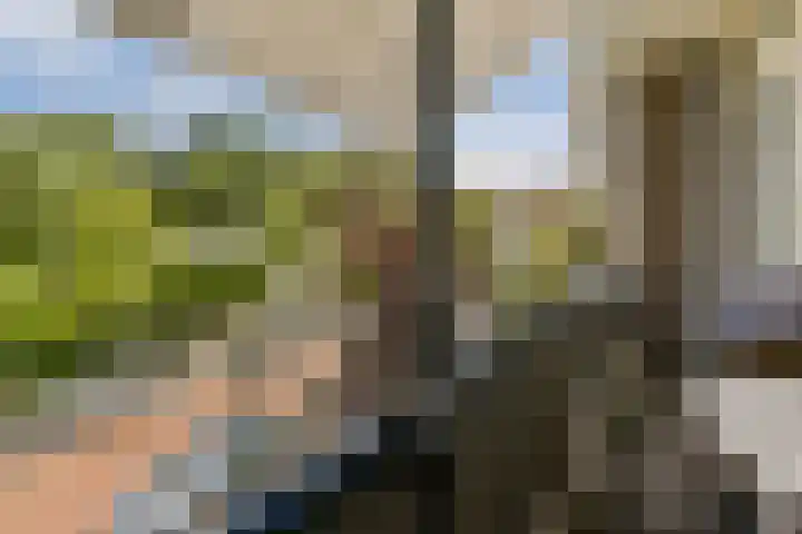 Ridderspoorlaan 19 Oegstgeest thumbnail 17