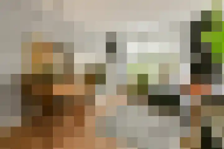 Ridderspoorlaan 19 Oegstgeest thumbnail 4