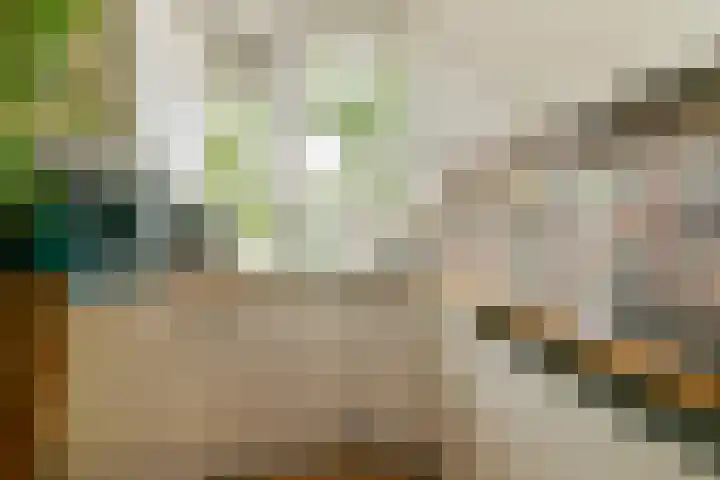 Ridderspoorlaan 19 Oegstgeest thumbnail 7