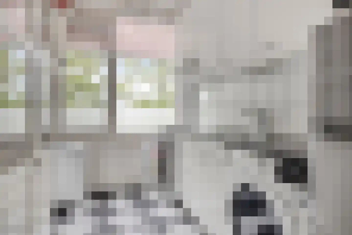 Ridderspoorlaan 21 Oegstgeest thumbnail 16