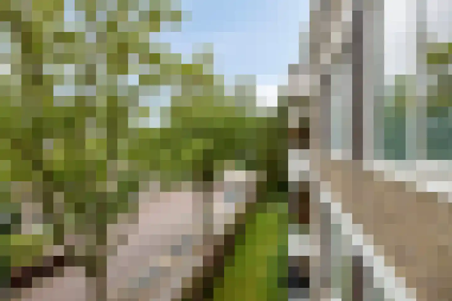 Ridderspoorlaan 21 Oegstgeest thumbnail 30