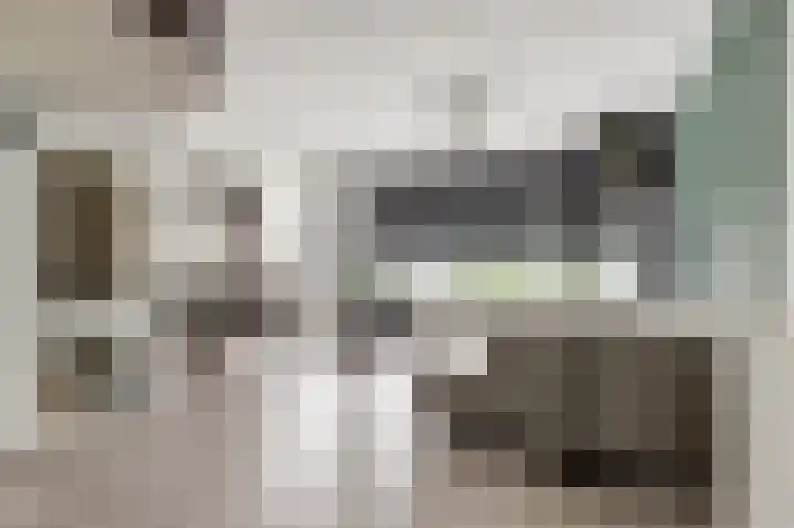 Ridderspoorlaan 37 Oegstgeest thumbnail 10