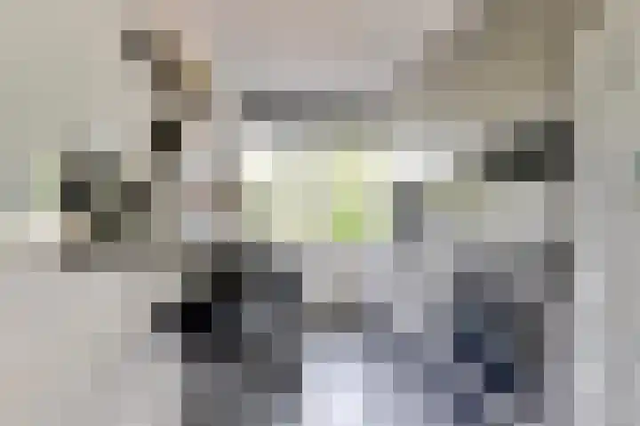 Ridderspoorlaan 37 Oegstgeest thumbnail 17