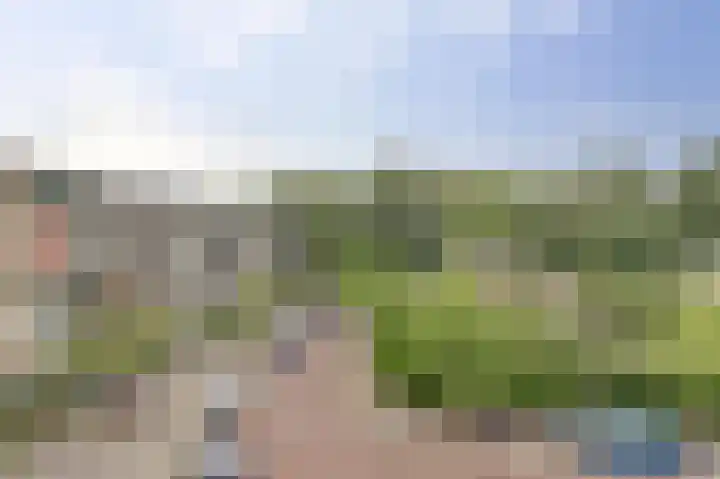 Ridderspoorlaan 37 Oegstgeest thumbnail 26