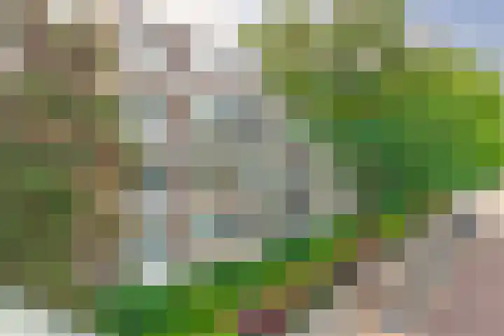 Ridderspoorlaan 37 Oegstgeest thumbnail 27