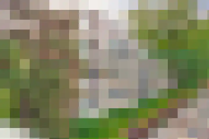 Ridderspoorlaan 37 Oegstgeest thumbnail 28