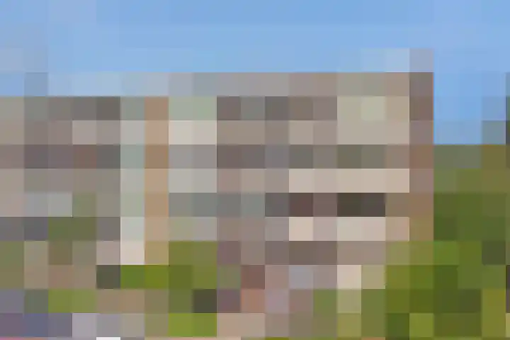 Ridderspoorlaan 37 Oegstgeest thumbnail 29