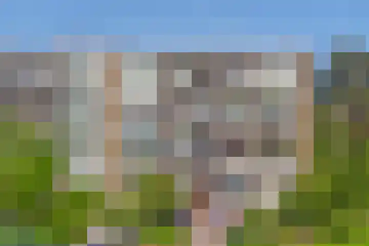 Ridderspoorlaan 37 Oegstgeest thumbnail 30