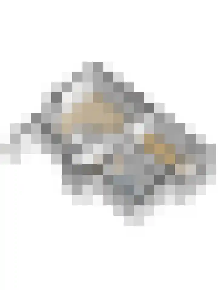 Ridderspoorlaan 37 Oegstgeest thumbnail 33