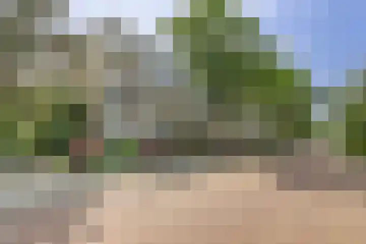 Ridderspoorlaan 37 Oegstgeest thumbnail 8