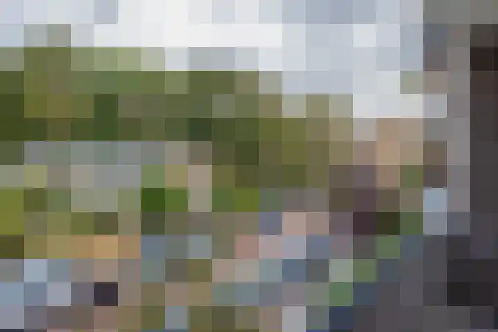 Ridderspoorlaan 43 Oegstgeest thumbnail 26