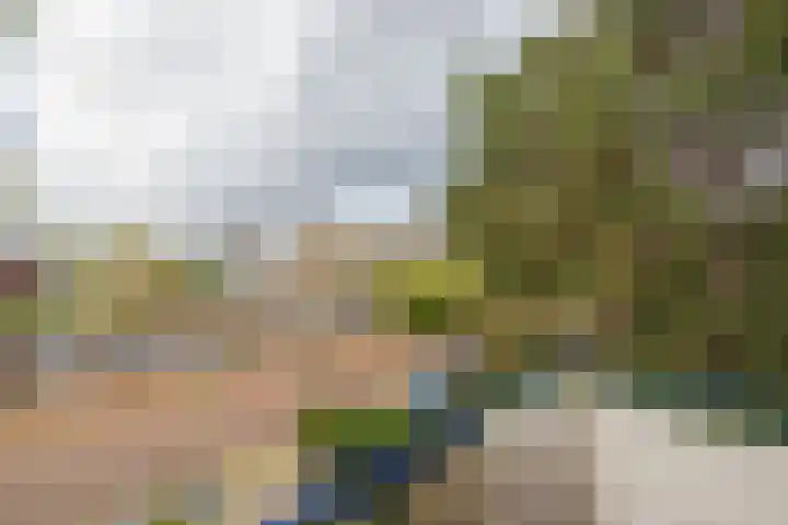 Ridderspoorlaan 43 Oegstgeest thumbnail 36