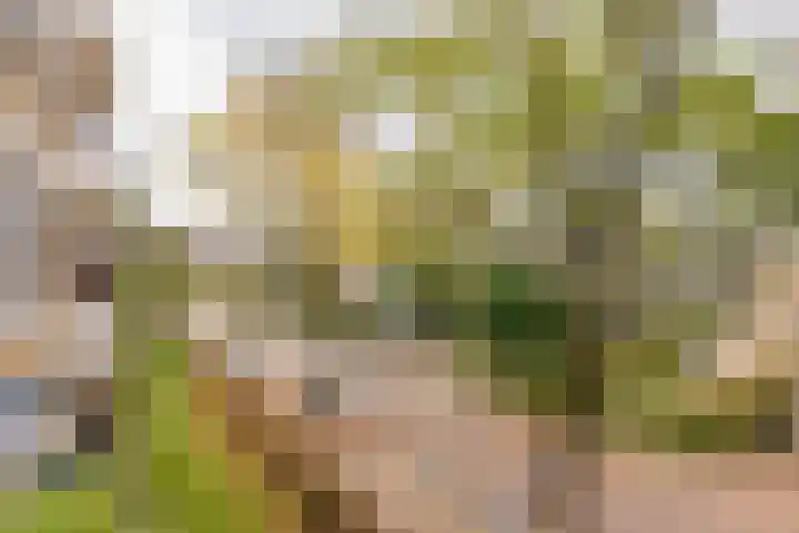 Ridderspoorlaan 43 Oegstgeest thumbnail 38
