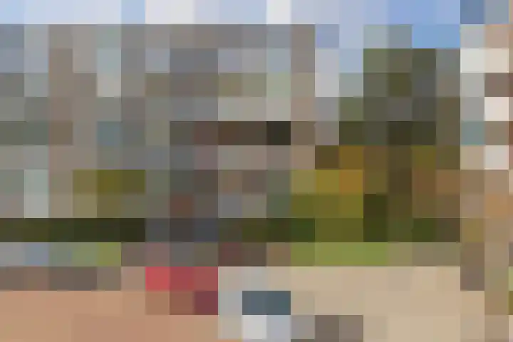 Ridderspoorlaan 43 Oegstgeest thumbnail 44