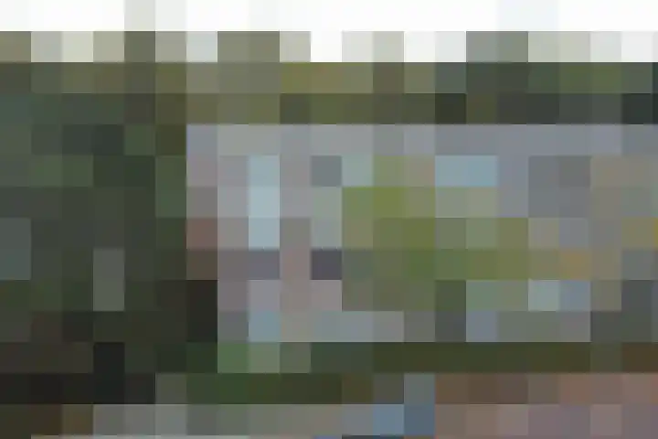 Ridderspoorlaan 43 Oegstgeest thumbnail 5