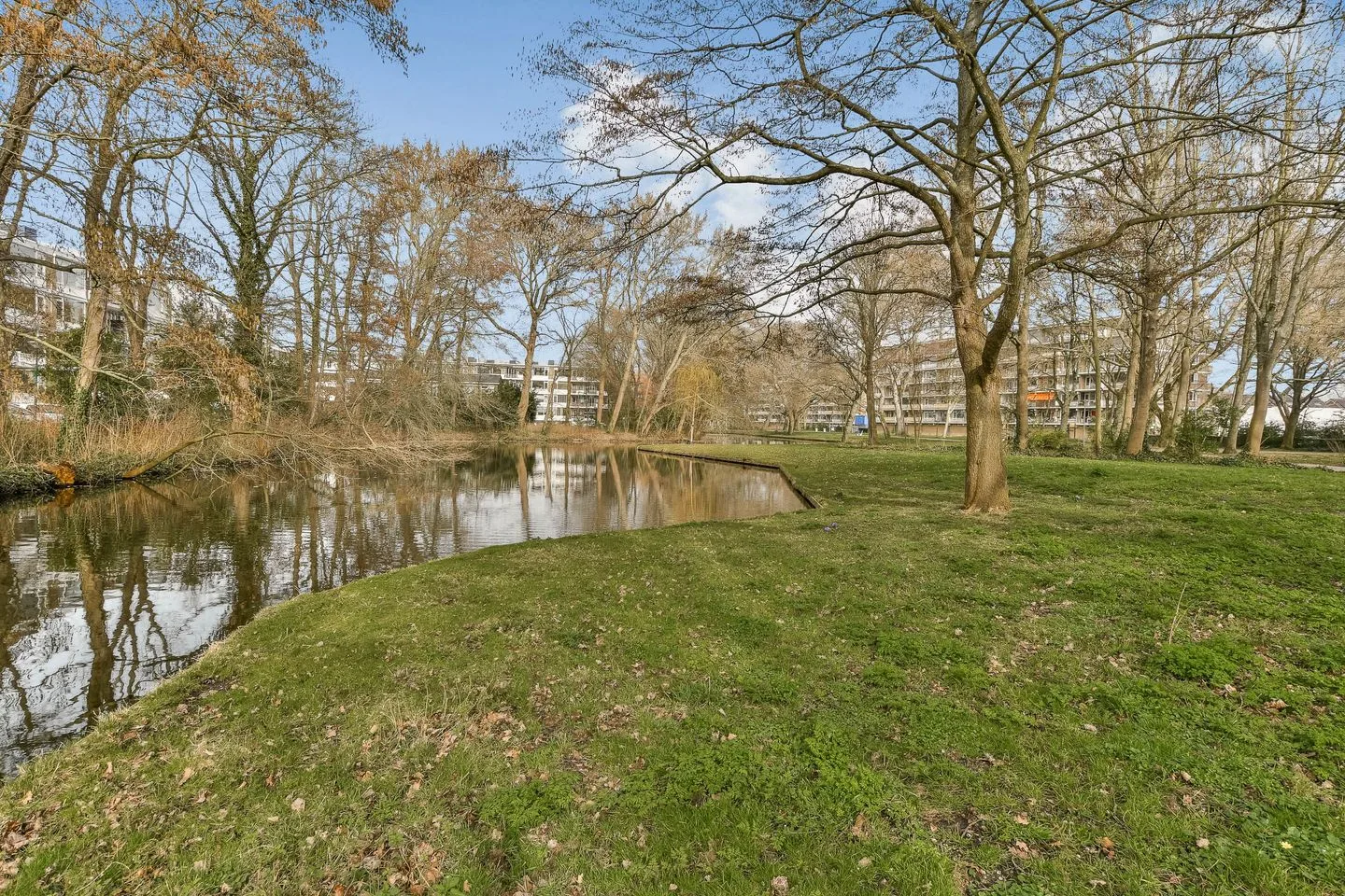 Ridderspoorlaan 83 Oegstgeest thumbnail 26