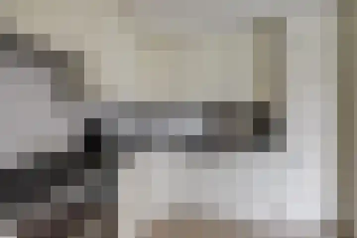 Ridderspoorlaan 9 Swifterbant thumbnail 12