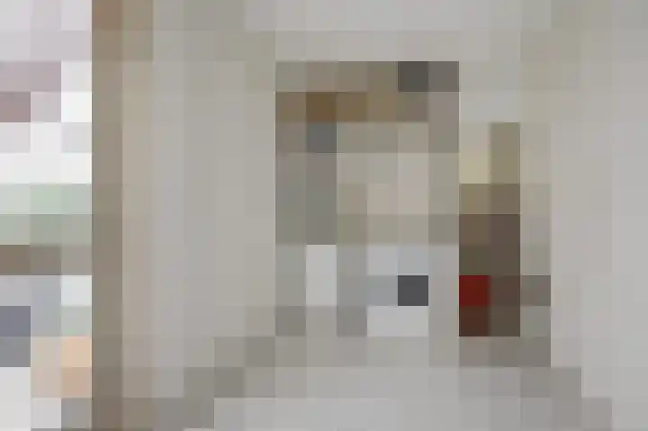 Ridderspoorlaan 9 Swifterbant thumbnail 13