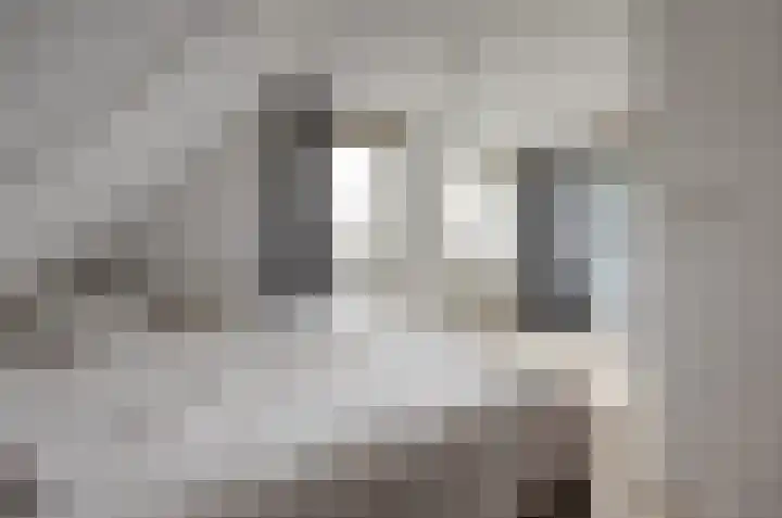 Ridderspoorlaan 9 Swifterbant thumbnail 17