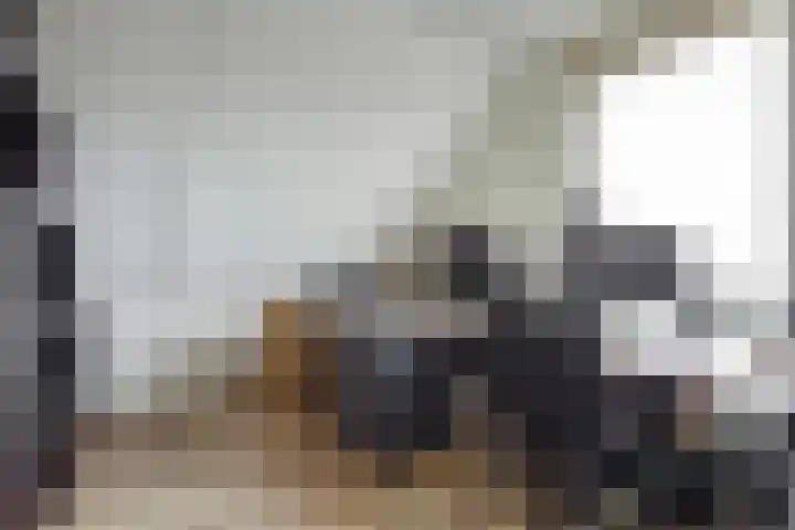Ridderspoorlaan 9 Swifterbant thumbnail 19