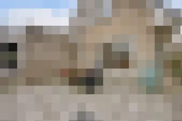 Ridderspoorlaan 9 Swifterbant thumbnail 23
