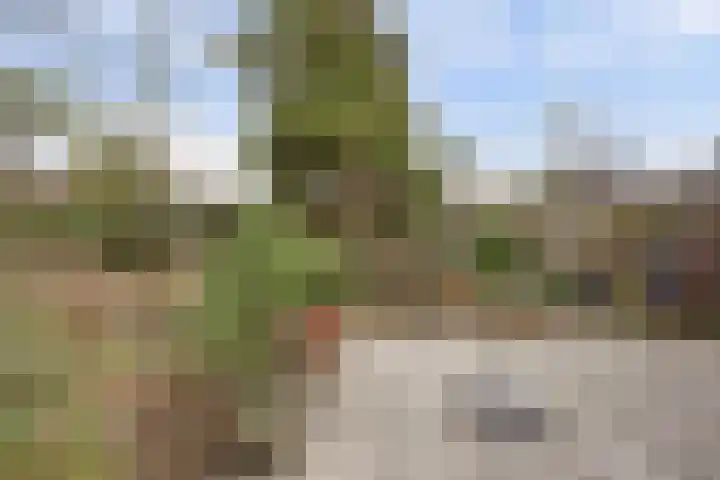 Ridderspoorlaan 9 Swifterbant thumbnail 24