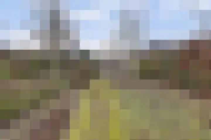 Ridderspoorlaan 9 Swifterbant thumbnail 25