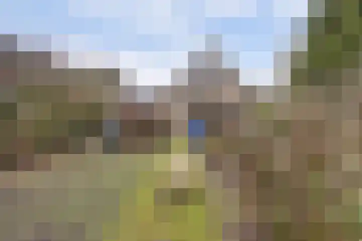 Ridderspoorlaan 9 Swifterbant thumbnail 26