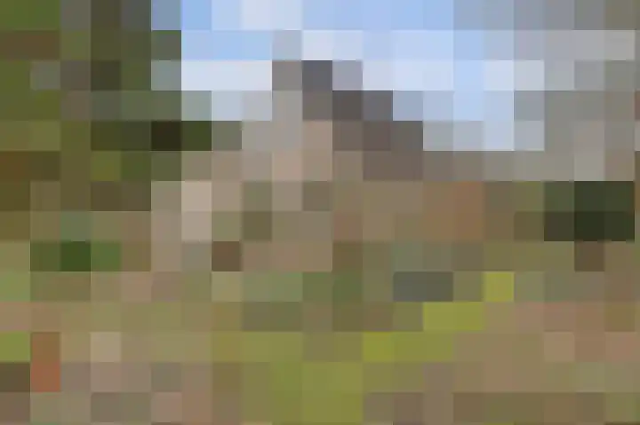 Ridderspoorlaan 9 Swifterbant thumbnail 27