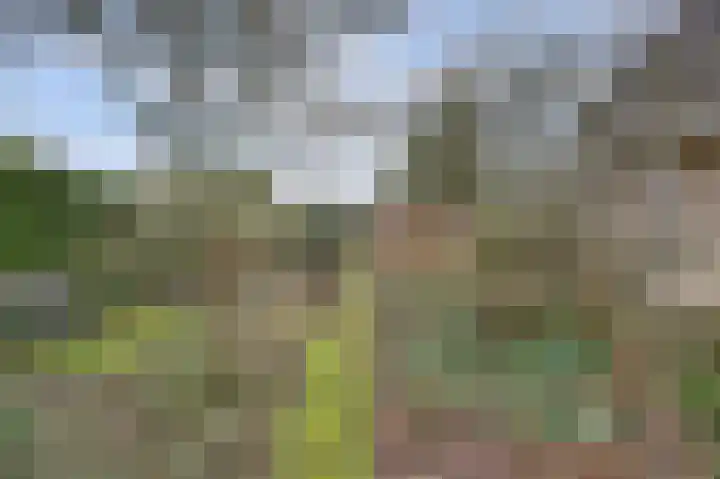 Ridderspoorlaan 9 Swifterbant thumbnail 28
