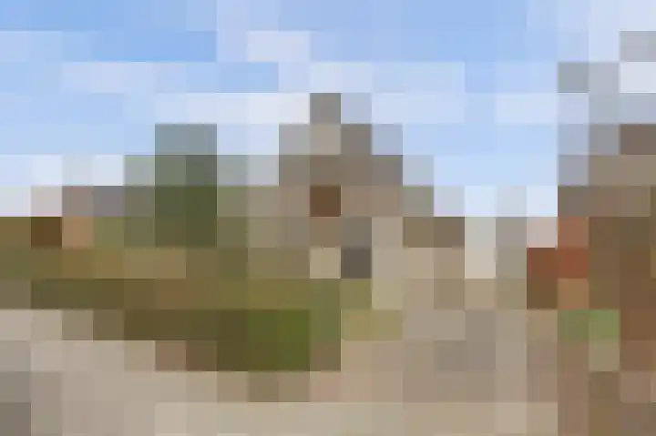 Ridderspoorlaan 9 Swifterbant thumbnail 30
