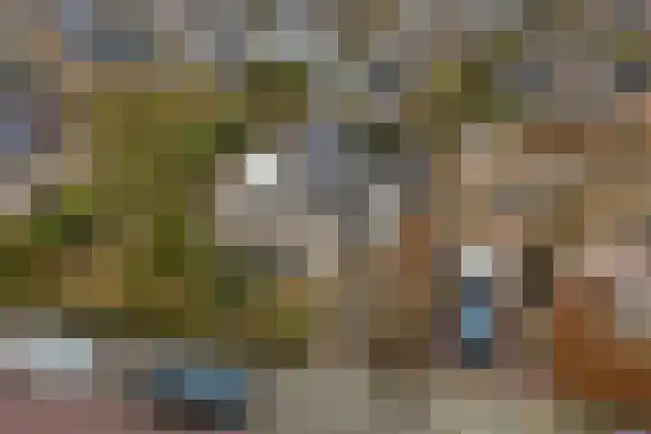 Ridderspoorlaan 9 Swifterbant thumbnail 31