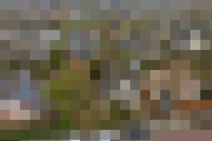 Ridderspoorlaan 9 Swifterbant thumbnail 32