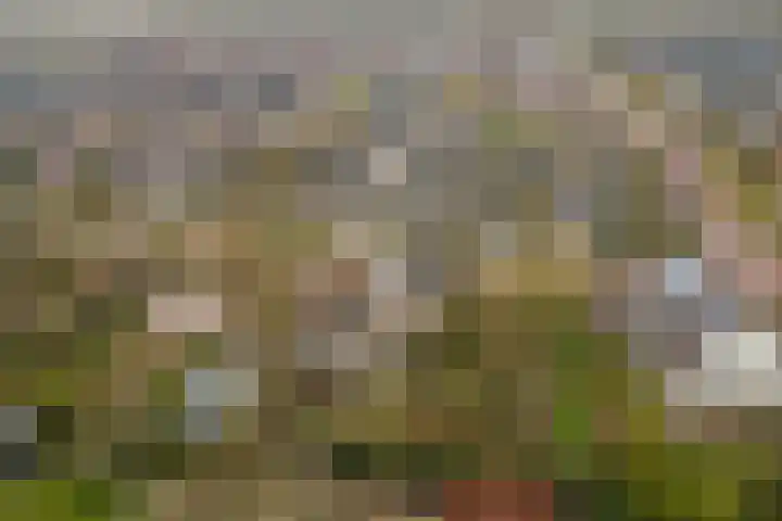 Ridderspoorlaan 9 Swifterbant thumbnail 33
