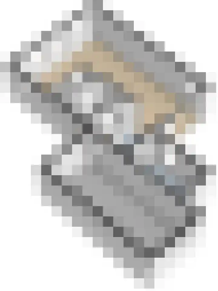 Ridderspoorlaan 9 Swifterbant thumbnail 37