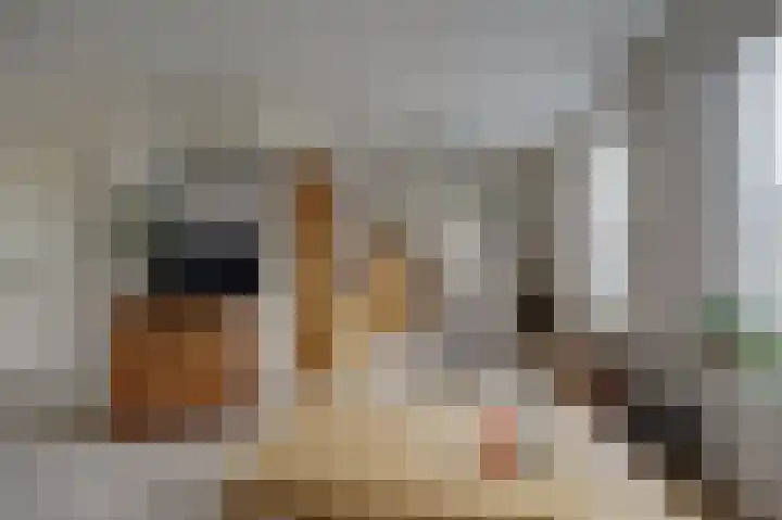 Ridderspoorlaan 9 Swifterbant thumbnail 6