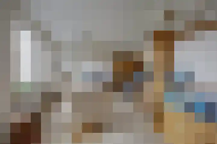 Ridderspoorlaan 9 Swifterbant thumbnail 7