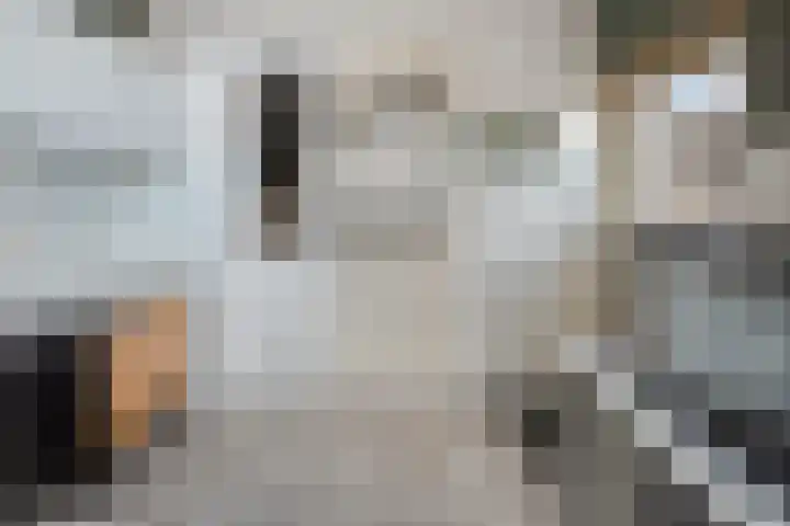 Ridderspoorstraat 22 Dedemsvaart thumbnail 18
