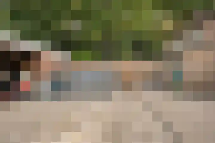 Ridderspoorstraat 22 Dedemsvaart thumbnail 33