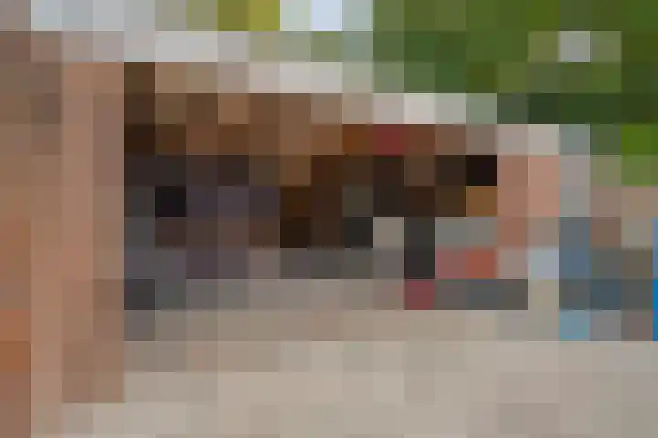 Ridderspoorstraat 22 Dedemsvaart thumbnail 34