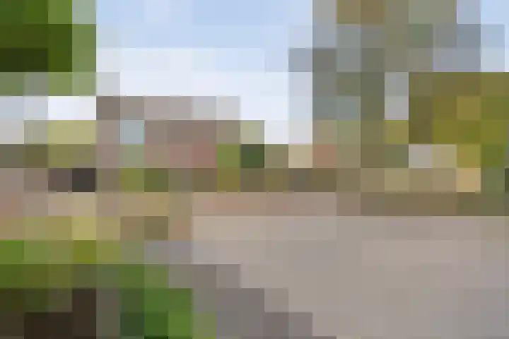 Ridderspoorstraat 22 Dedemsvaart thumbnail 39