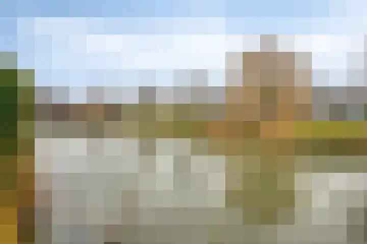 Ridderspoortuin 1 Bergschenhoek thumbnail 12