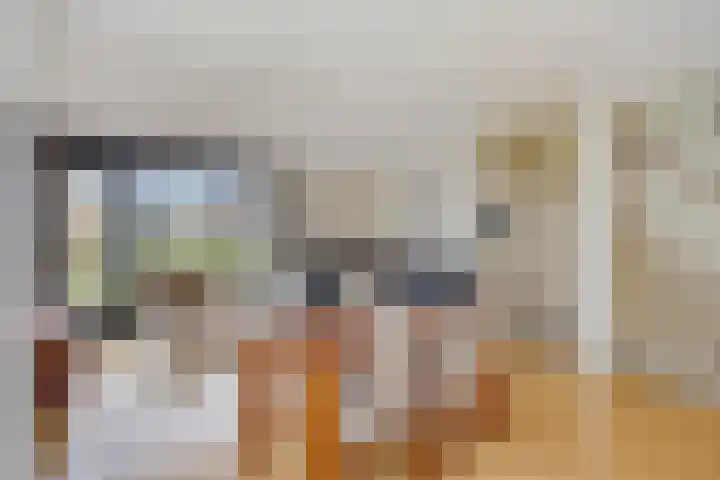 Ridderspoortuin 1 Bergschenhoek thumbnail 15
