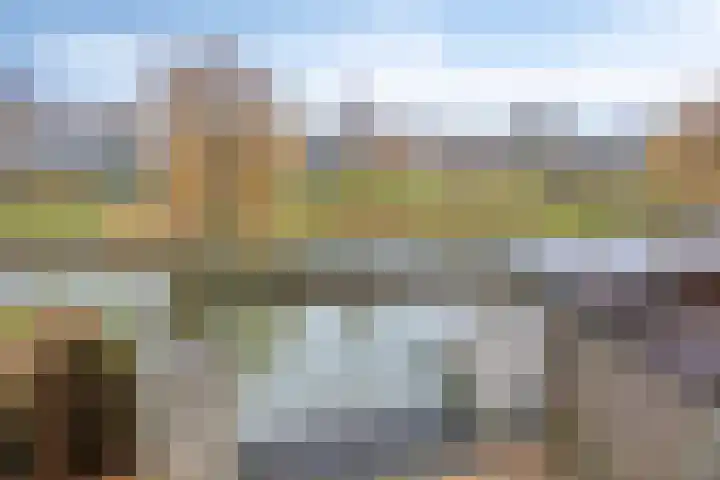 Ridderspoortuin 1 Bergschenhoek thumbnail 17