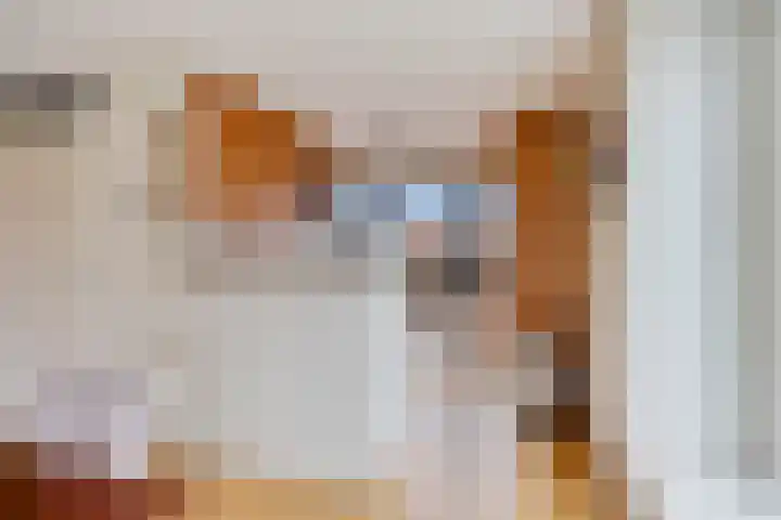 Ridderspoortuin 1 Bergschenhoek thumbnail 19