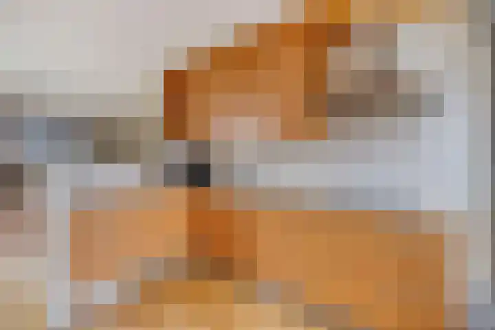 Ridderspoortuin 1 Bergschenhoek thumbnail 20
