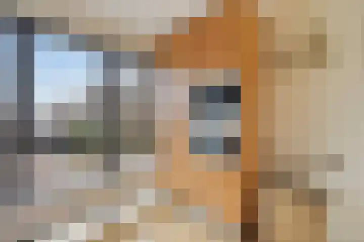 Ridderspoortuin 1 Bergschenhoek thumbnail 21