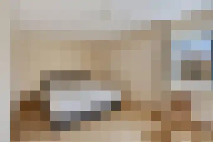 Ridderspoortuin 1 Bergschenhoek thumbnail 23