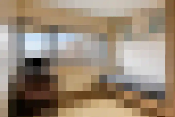 Ridderspoortuin 1 Bergschenhoek thumbnail 28