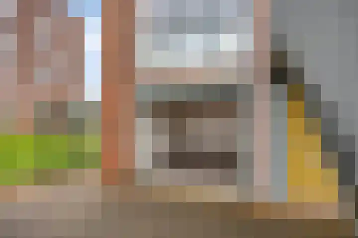 Ridderspoortuin 1 Bergschenhoek thumbnail 32